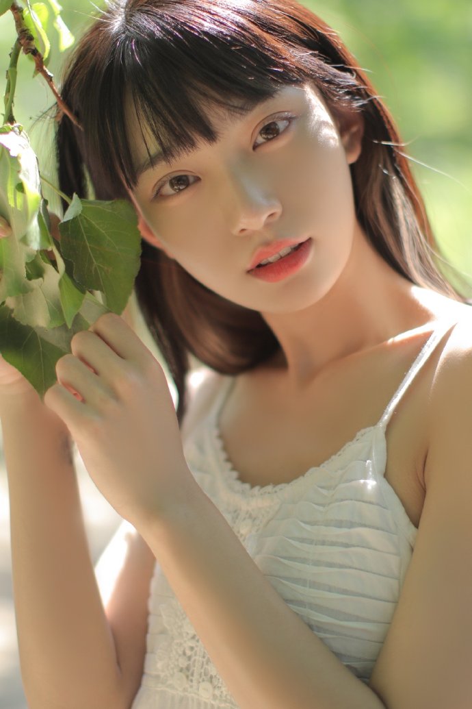 莲花楼 封面
