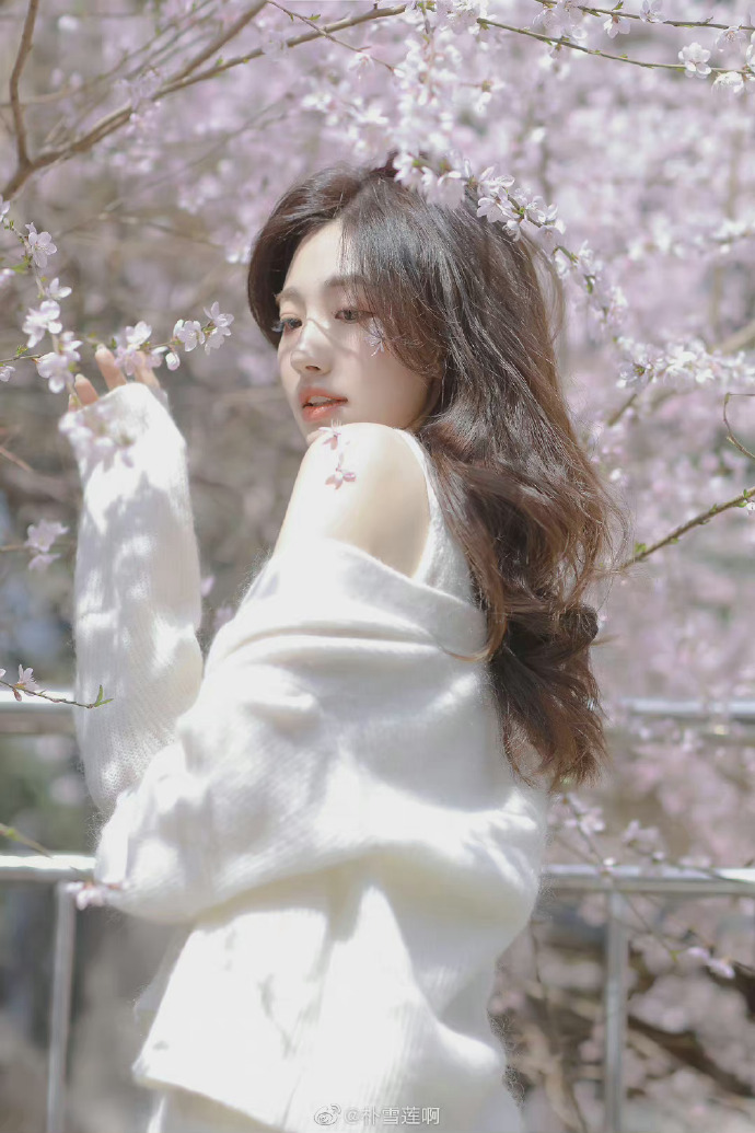 江湖儿女